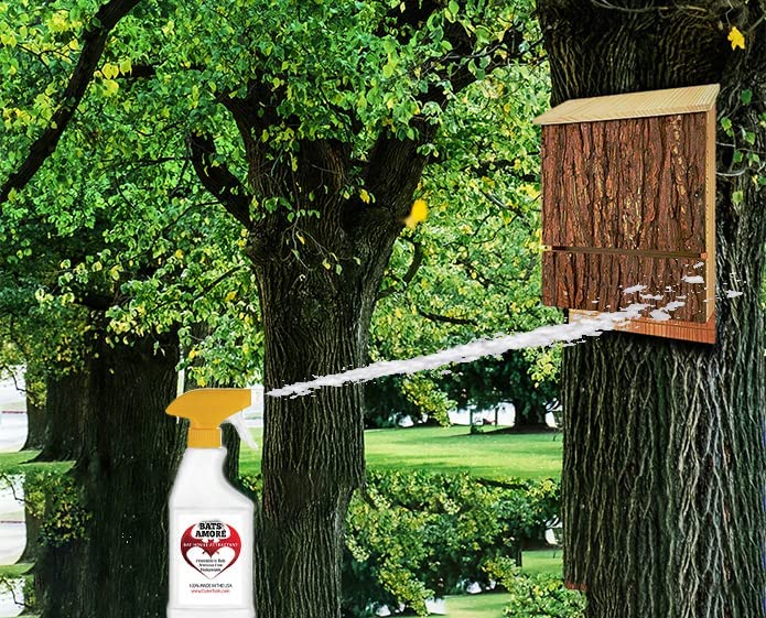Bats Amore Bat Attractant for Bat Houses, All-Natural Bat Attractant Spray, 8 Ounce Long-Spray Bottle