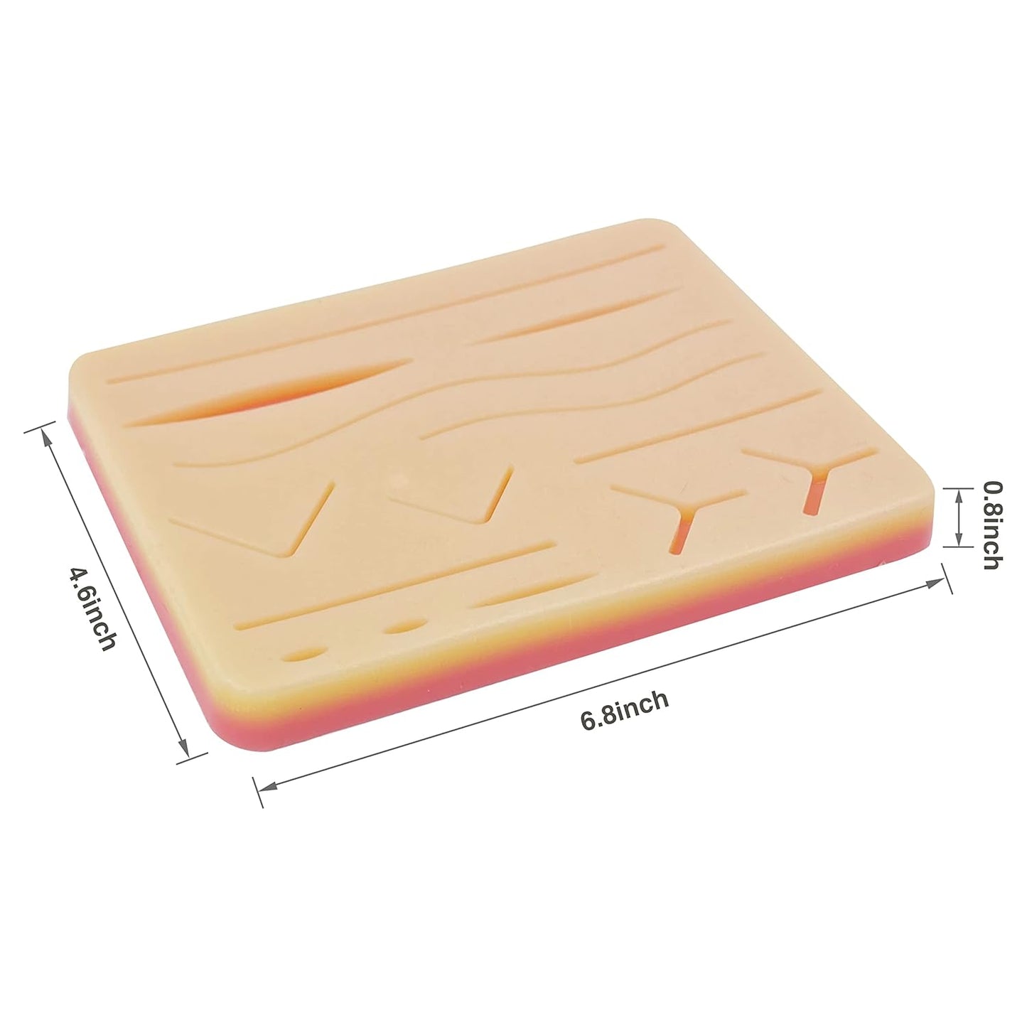 EduMed Practice Suture Kit, Medical & Veterinary Surgical Training Kits