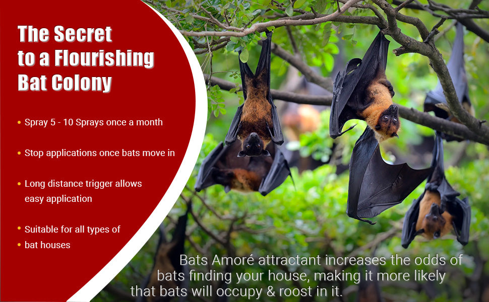 Bats Amore Bat Attractant for Bat Houses, All-Natural Bat Attractant Spray, 8 Ounce Long-Spray Bottle