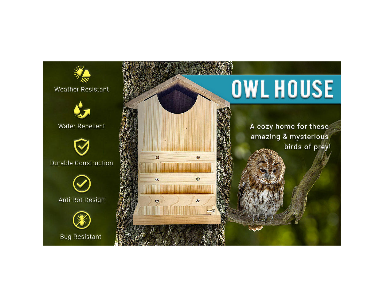 OuterTrails Cedar Owl House